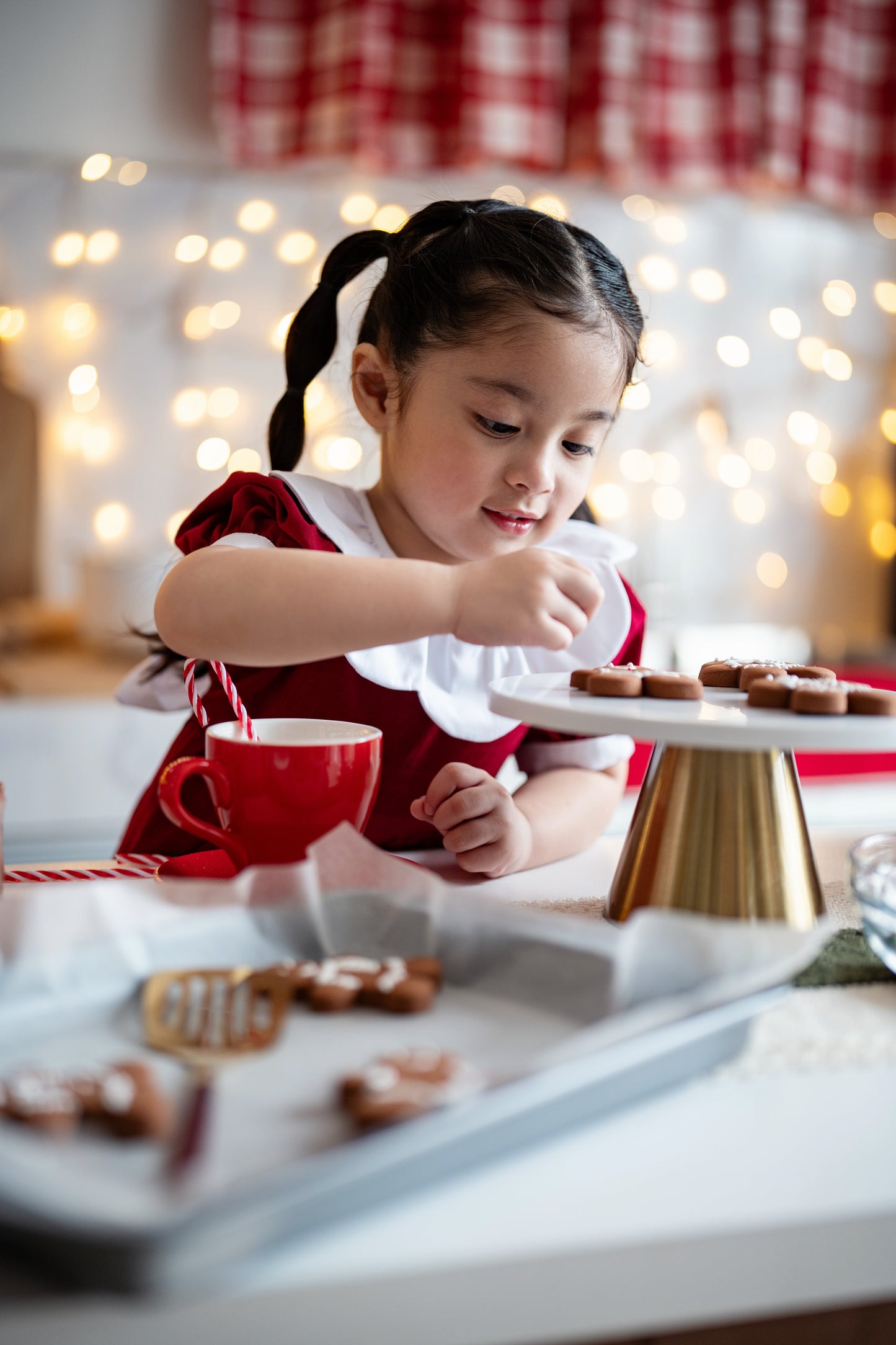 Scarlett Scallop Collar Dress